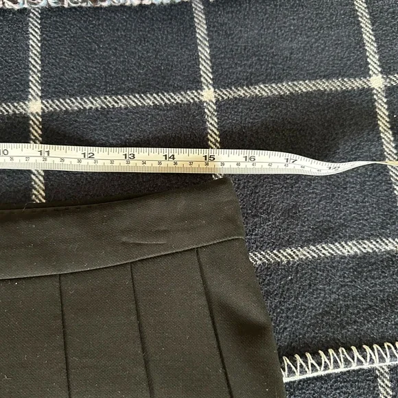 Aritzia Didi Babaton Black Pleated Skirt - Picture 11 of 12